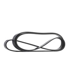 V Ribbed Belt RIDEX 305P0639 OE Ref K53034095AA