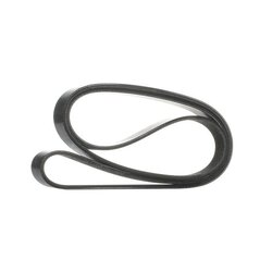 V Ribbed Belt RIDEX 305P0647 OE Ref CM5Q-6C301-BA