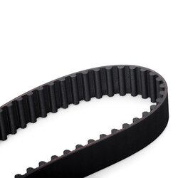 Courroie de distribution RIDEX 306T0004 pour PEUGEOT, CITROËN, FIAT et plus encore... RIDEX