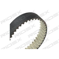 Kit de courroie de distribution et pompe à eau 3096W0056 pour VW, AUDI, SEAT, SKODA 038 109 244 J RIDEX