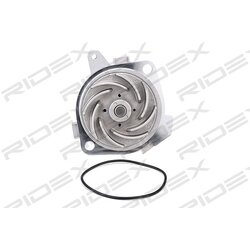 Kit de courroie de distribution et pompe à eau RIDEX 3096W0115 pour ALFA ROMEO 55192240 RIDEX