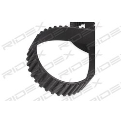 Water Pump Timing Belt Kit RIDEX 3096W0170 RIDEX