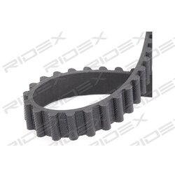 Kit de courroie de distribution et pompe à eau 3096W0406 pour PEUGEOT, CITROËN 41401/1 RIDEX