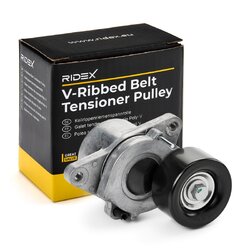 Tensioner Pulley RIDEX 310T0323 OE Ref 119555X00C