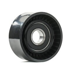 Vribbed Belt Tensioner Pulley RIDEX 310T0512 OE Ref 1195500Q1E