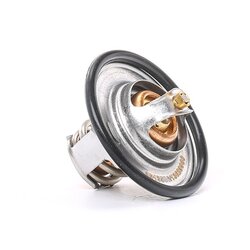 Coolant Thermostat RIDEX 316T0044 OE Ref 050 121 113 C S3