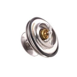 Coolant Thermostat RIDEX 316T0086 OE Ref 47 789 75