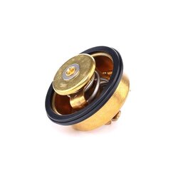 Coolant Thermostat RIDEX 316T0141 OE Ref 273 459