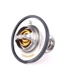 Coolant Thermostat RIDEX 316T0193 OE Ref 19301-PLZ-D00