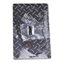 Cylinder Head Gasket Kit RIDEX 319G0346 OE Ref 9569752780