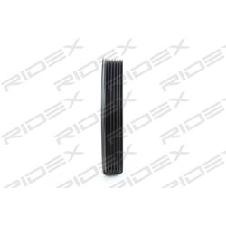 Poulie de courroie de vilebrequin RIDEX 3213B0012 pour FIAT et autres... RIDEX
