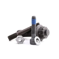 Bolt & Nut Kit RIDEX 3264B0032