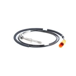 Exhaust Temperature Sensor RIDEX 3938E0072 OE Ref 070 906 088 P