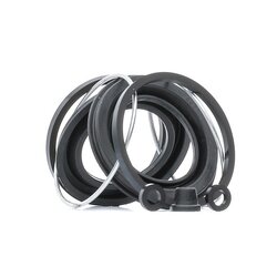 Brake Caliper Seal Kit RIDEX 405R0005