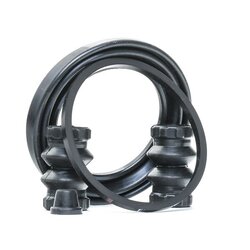 Brake Caliper Kit RIDEX 405R0173 OE Ref 4427C2