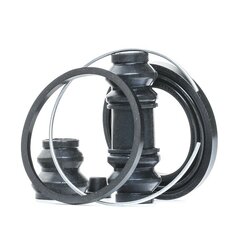 Brake Caliper Kit RIDEX 405R0300 OE Ref 44120-05J25