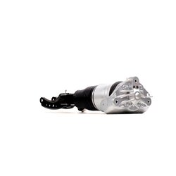 Air Suspension Leg/Strut RIDEX 4118A0042 OE Ref 7L6 616 040 E