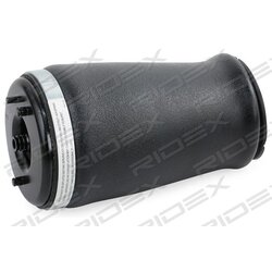 Jambe de suspension pneumatique RIDEX 4118A0065 pour BMW Série 5 RIDEX