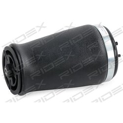 Jambe de suspension pneumatique RIDEX 4118A0065 pour BMW Série 5 RIDEX