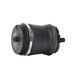 Suspension Air Spring RIDEX 4119A0024 OE Ref RKB000151