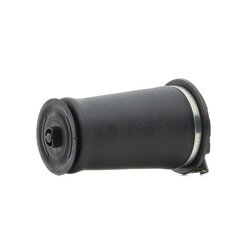 Suspension Air Spring RIDEX 4119A0036 OE Ref RKB101460