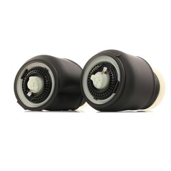 Suspension Air Spring RIDEX 4119A0049 OE Ref 3710 6781 843