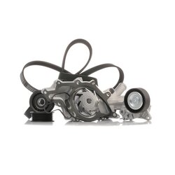 Water Pump V Ribbed Belt Set RIDEX 4172P0013