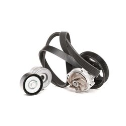 Water Pump V Ribbed Belt Set RIDEX 4172P0016 OE Ref 71745026
