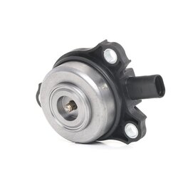 Camshaft Adjustment Central Magnet RIDEX 4229C0003 OE Ref 272 051 01 77