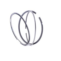 Piston Ring Kit RIDEX 444P0006 OE Ref 7701470248