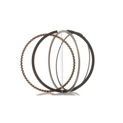 Piston Ring Kit RIDEX 444P0009 OE Ref 630 099