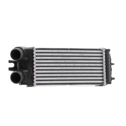 Intercooler RIDEX 468I0311 OE Ref E256083