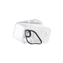 Engine Oil Cooler RIDEX 469O0048 OE Ref 7787698