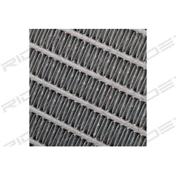 Radiator RIDEX 470R0031 OE Ref 1235005603