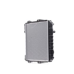 Radiator RIDEX 470R0335 OE Ref 1640054610