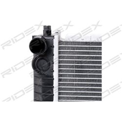 Radiator RIDEX 470R0566 OE Ref 1245001202