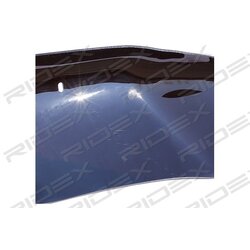 Déflecteur de vent - RIDEX 5025A0021 RIDEX