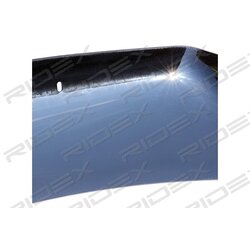 Wind Deflector RIDEX 5025A0027