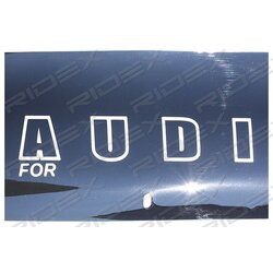 Déflecteur de vent - RIDEX 5025A0033 RIDEX