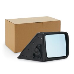 Wing Mirror RIDEX 50O0019 OE Ref 1248100879