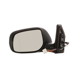 Exterior Mirror RIDEX 50O0048 OE Ref 8174005030