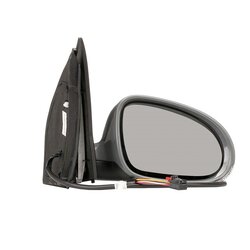 Exterior Mirror RIDEX 50O0169 OE Ref 1K0857538GRU