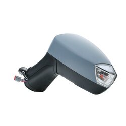 Wing Mirror RIDEX 50O0761 OE Ref 1494306