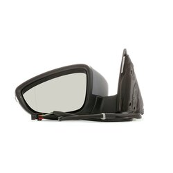 Exterior Mirror RIDEX 50O0764 OE Ref 3AA8575079B9