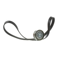 V Ribbed Belt Set RIDEX 542R0003