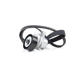 V Ribbed Belt Set RIDEX 542R0006 OE Ref 4612669