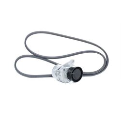 V Ribbed Belt Set RIDEX 542R0009