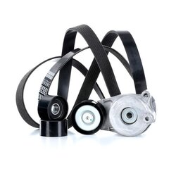 V Ribbed Belt Set RIDEX 542R0010