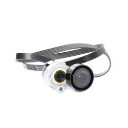 V Ribbed Belt Set RIDEX 542R0011 OE Ref D6510009