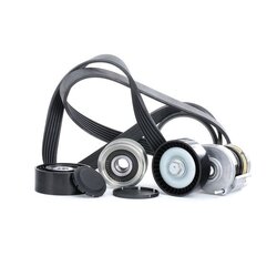 V Ribbed Belt Set RIDEX 542R0014 OE Ref 021903119G